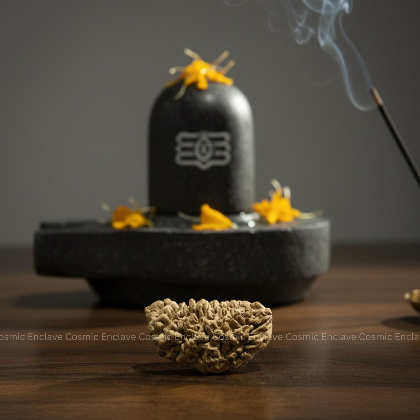 1 Mukhi Rudraksha (Chandrakaar) (For Attracting Wealth, Confidence & Focus)