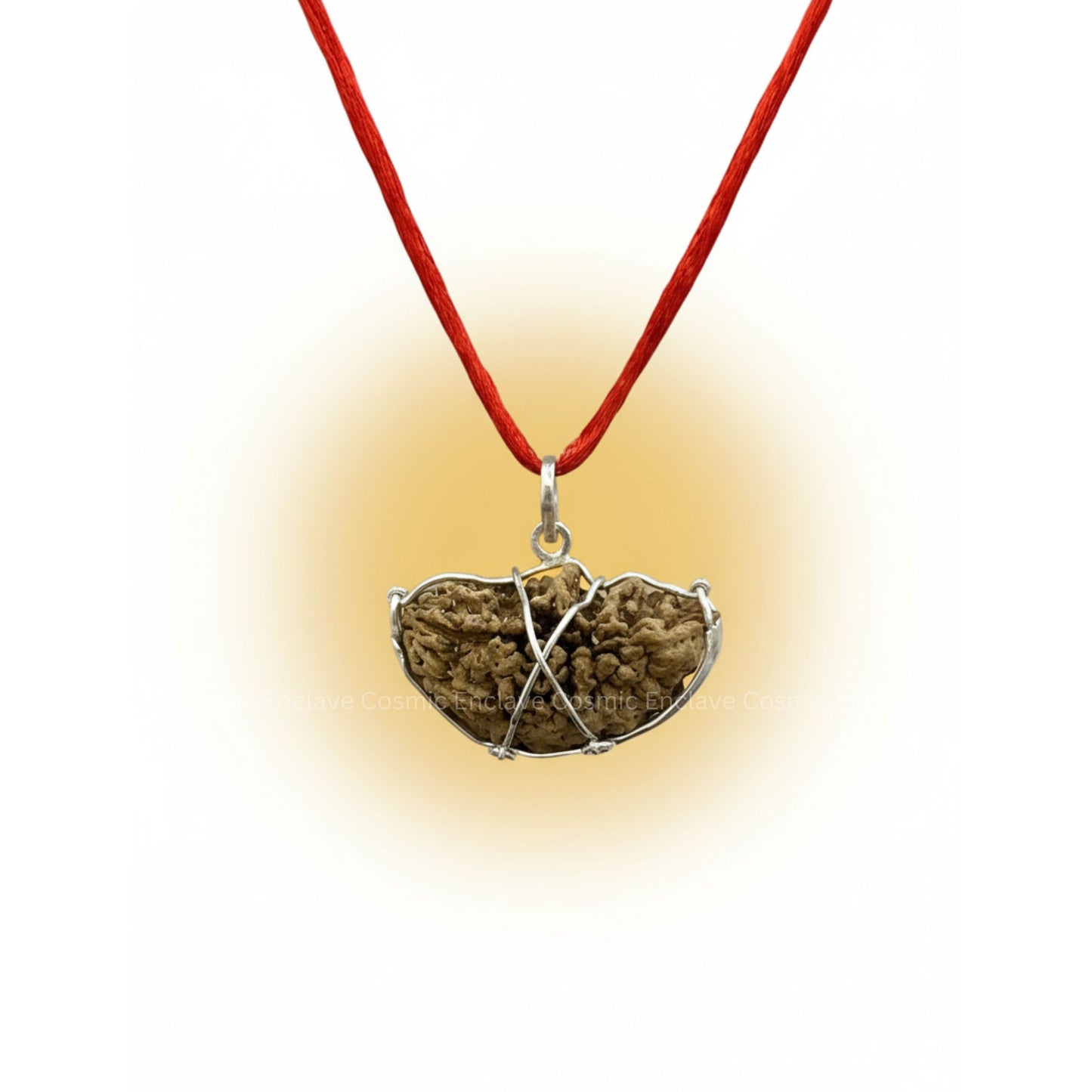 1 Mukhi Rudraksha (Chandrakaar) (For Attracting Wealth, Confidence & Focus)