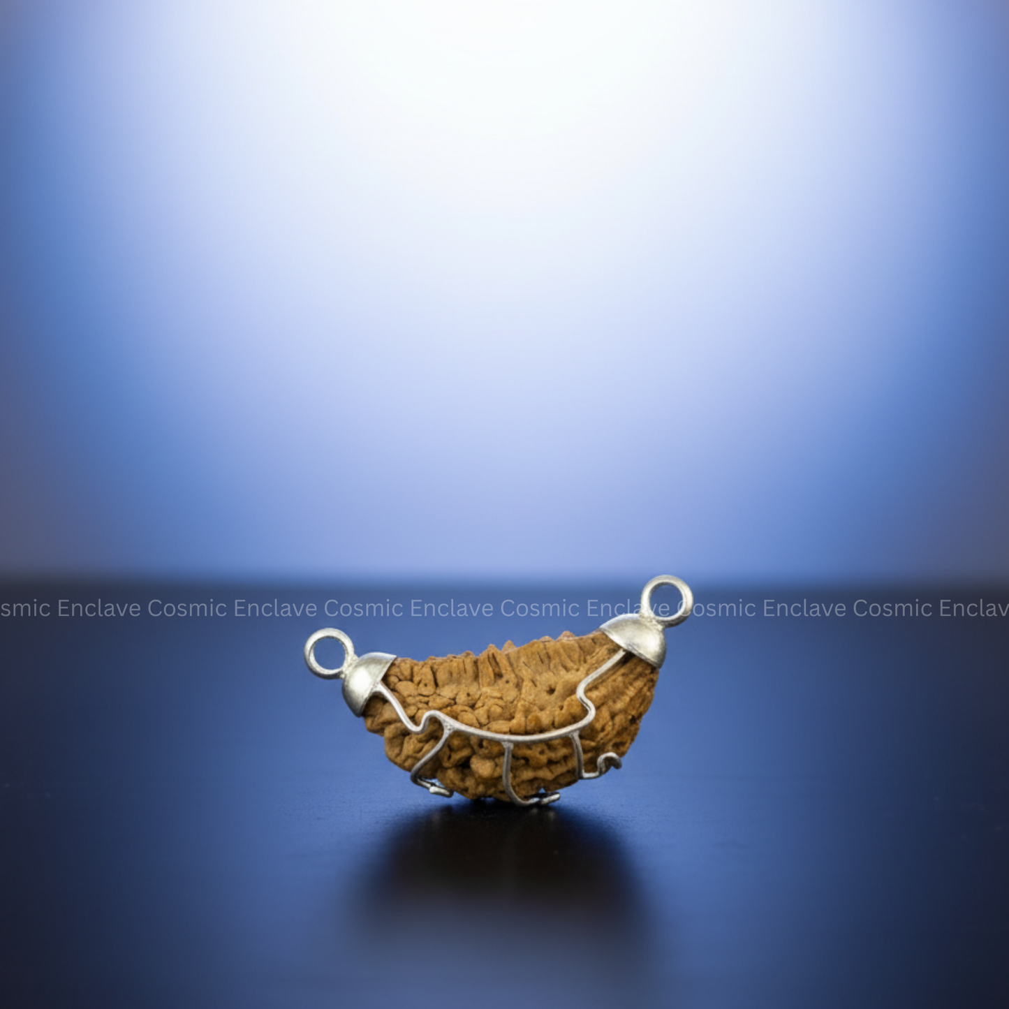 1 Mukhi Rudrakasha (Chandrakaar) - Indian Origin - Certified