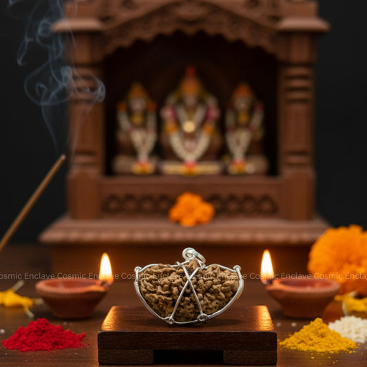 1 Mukhi Rudrakasha (Chandrakaar)  - Indian Origin - Certified